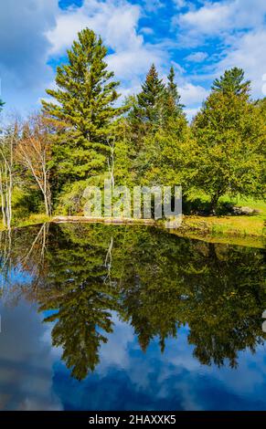 Les plantes le long de la rivière West, dans le village de Weston, Vermont, se reflètent dans l'eau calme au-dessus de la cascade de Mill Banque D'Images