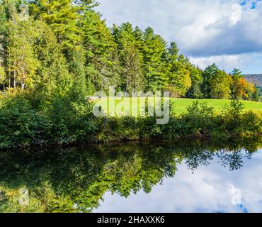 Les plantes le long de la rivière West, dans le village de Weston, Vermont, se reflètent dans l'eau calme au-dessus de la cascade de Mill Banque D'Images