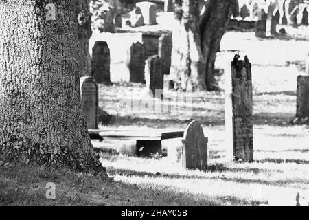 HALIFAX, CANADA - le 07 octobre 2021 : l'ancien cimetière est situé dans un cimetière du centre-ville, à Halifax, au Canada Banque D'Images