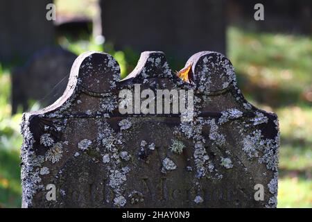 HALIFAX, CANADA - le 07 octobre 2021 : l'ancien cimetière est situé dans un cimetière du centre-ville, à Halifax, au Canada Banque D'Images