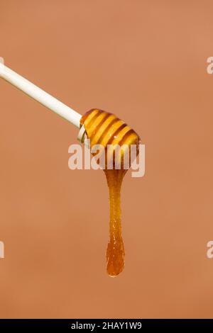 Miel doux visqueux fait par les abeilles s'égoutter d'un balancier en bois avec des rainures espacées sur fond marron dans le studio léger Banque D'Images