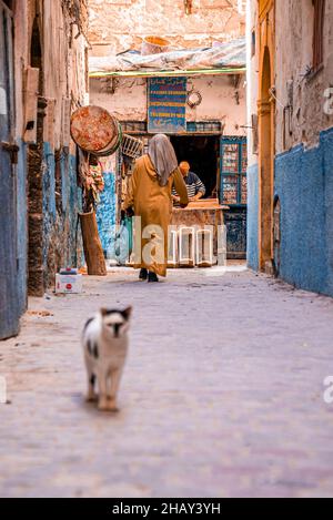 Chat dans la rue avec l'arrière de la femme de la région marchant au milieu d'une ruelle étroite Banque D'Images