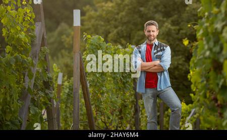 propriétaire d'un vignoble situé dans un domaine viticole, au milieu d'une ferme de raisin, d'un espace de copie, d'un viticulteur Banque D'Images