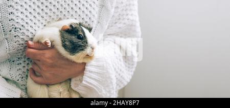 Une femme d'âge moyen tient un cobaye dans les bras.Soins, soins et soins pour animaux de compagnie.Relation homme-animal Banque D'Images