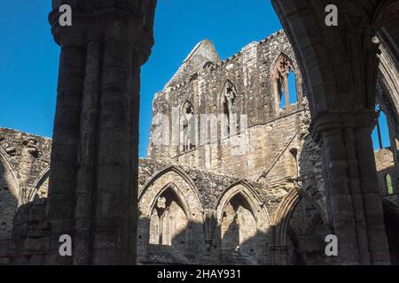 Ruin,Ruins,at,Famous,Tintern,Tintern Abbey,Wales,Welsh,UK,United Kingdom,Great Britain,Britain,British,UK,United Kingdom,Europe,EuropeanTintern Abbey a été fondé le 9 mai 1131 par Walter de Clare, Lord of Chepstow.Il est situé à côté du village de Tintern dans le Monbucshire, sur la rive galloise de la rivière Wye, qui à cet endroit forme la frontière entre le Monbucshire au pays de Galles et le Gloucestershire en Angleterre. Banque D'Images