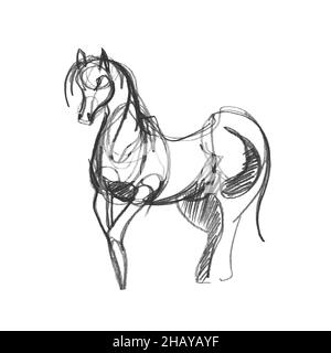 Un croquis au crayon d'un cheval à demi-tour sur papier blanc.Dessin à main levée fin de style minimaliste.Art vectoriel créatif monochrome moderne Illustration de Vecteur