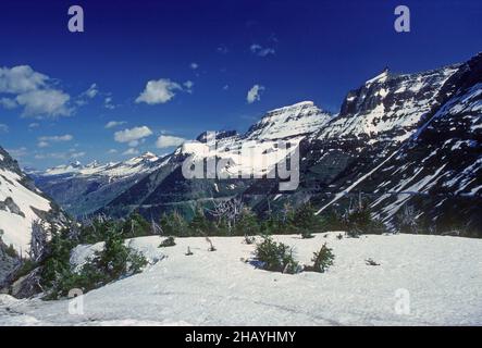 Neige d'été dans les montagnes dentelées sur le col Logan dans le parc national des Glaciers Banque D'Images