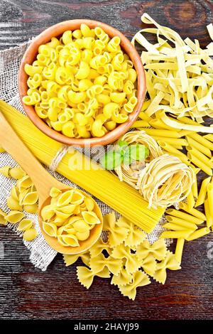 Pâtes de coquillages dans une cuillère, tuyau de rigate dans un bol, spaghetti, tagliatelle, penne, farfalle,trancheuse sur toile de fond en bois sombre Banque D'Images