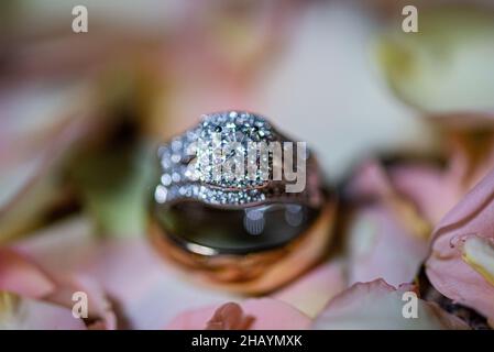 anneaux de mariage en or blanc avec diamants sur lit de pédales de fleurs roses Banque D'Images