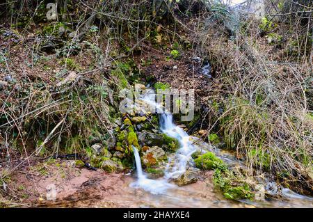 Fontaine en pierre dans un parc naturel Banque D'Images