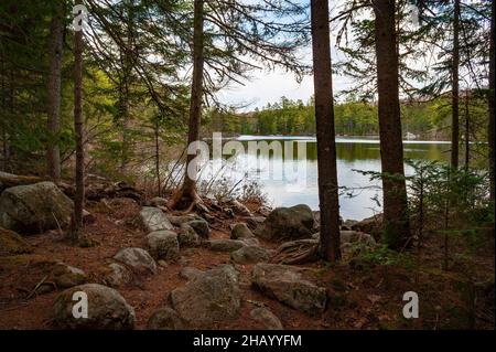 Kettle Pond State Park, Groton, Vermont Banque D'Images