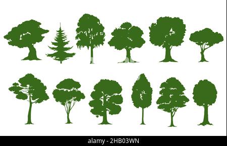 Silhouettes d'arbres isolées, forêt vectorielle ou arbres verts de jardin.Chêne, pin, sapin d'épinette ou bouleau, saule et érable, bois de nature avec feuilles et arbustes, Illustration de Vecteur