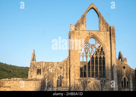 Ruin,Ruins,at,Famous,Tintern,Tintern Abbey,Wales,Welsh,UK,United Kingdom,Great Britain,Britain,British,UK,United Kingdom,Europe,EuropeanTintern Abbey a été fondé le 9 mai 1131 par Walter de Clare, Lord of Chepstow.Il est situé à côté du village de Tintern dans le Monbucshire, sur la rive galloise de la rivière Wye, qui à cet endroit forme la frontière entre le Monbucshire au pays de Galles et le Gloucestershire en Angleterre. Banque D'Images