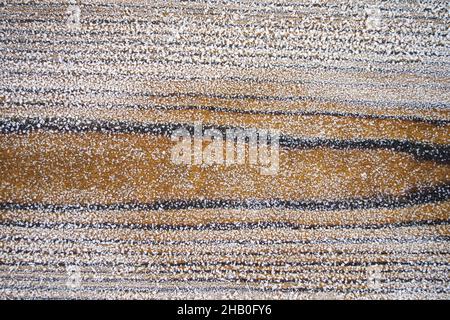 Surgelé et recouvert d'une surface en bois de glace Banque D'Images