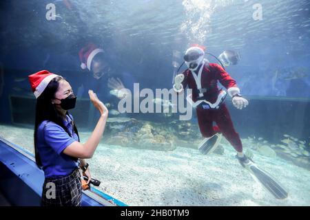 Manille.16th décembre 2021.Le 16 décembre 2021, un huissier se déporte devant un plongeur portant le costume du Père Noël lorsqu'il nage avec des créatures marines à l'intérieur de l'aquarium du parc océanique de Manille, aux Philippines.Crédit: Rouelle Umali/Xinhua/Alamy Live News Banque D'Images