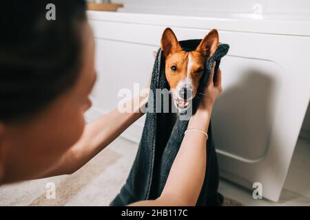Jeune femme séchant son chien avec une serviette après le bain. Banque D'Images