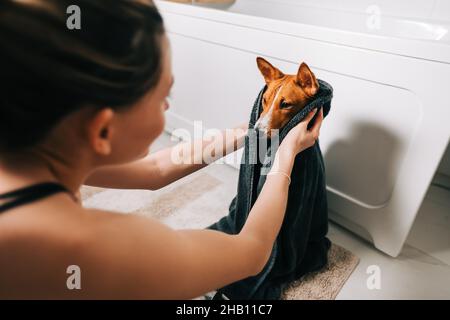 Jeune femme séchant son chien avec une serviette après le bain. Banque D'Images