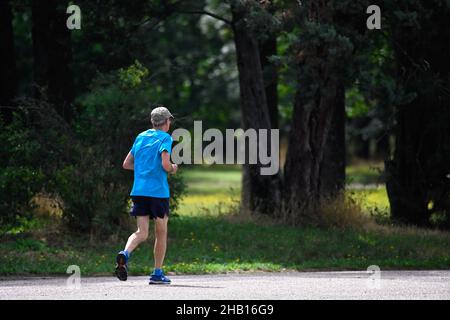 Bron et Venissieux, Parc métropolitain de Parilly (centre-est de la France) : jogger, retraité, portant un short, un jersey bleu et une casquette qui court sur une p Banque D'Images