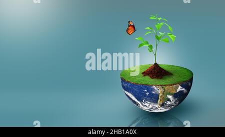 Plante poussant sur la demi-sphère de la planète terre avec l'herbe verte et le papillon.Écologie mondiale, Journée mondiale de l'environnement, Journée mondiale de la Terre. Banque D'Images