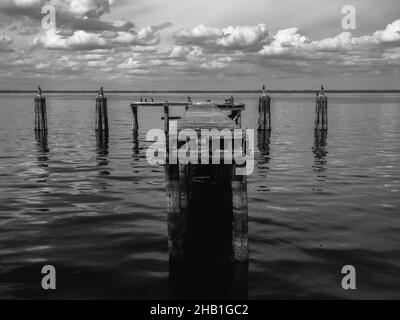 Prise de vue en niveaux de gris d'un ancien quai en bois dans la mer sous un ciel nuageux Banque D'Images