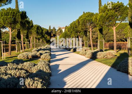 Domaine du Château Léoube près de Bormes-les-Mimosas, France Banque D'Images