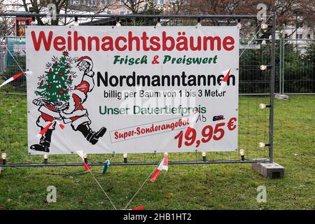 Hanovre, Allemagne - 8 décembre 2021: .Nordmanntanne ou le sapin Nordmann est typique des xmas allemands.