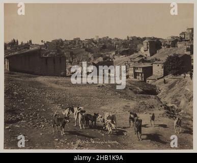 Groupe de chiens, Gelatin argent photographie, ca.1860-1880, époque ottomane, feuille: Hauteur: 12 po., 19th, noir et blanc, siècle, chiens,Groupe de chiens, chevaux, maisons, Moyen-Orient, Pascal Sébah,Photographie, rural, sépia, ville, Turquie,village, vintage Banque D'Images