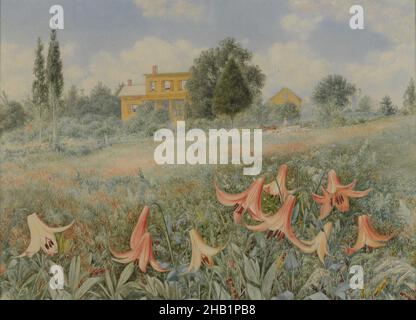 West Nyack, New York, John William Hill, cuisine américaine, 1812-1879,Aquarelle avec traces d'aquarelle opaque sur crayon graphite sur papier vélin de poids moyen, légèrement texturé, 1868, 12 x 16 3/8 po, 30,5 x 41,6 cm, 19th Century, américain, ciel bleu, nuages,Campagne, Lilies de jour, champ, fleurs, herbe,Vert, herbe verte, colline, maison, John William Hill,paysage, nénuphars, nénuphars, prairie, nature,opaque, ciel, été, arbres, état,Aquarelle, West Nyack, West Nyack, New York, jaune Banque D'Images