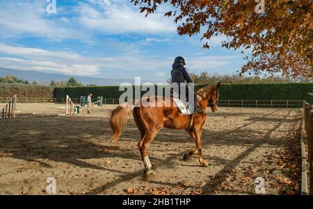 Enfant à cheval au ranch avec des obstacles et des barrières. Banque D'Images