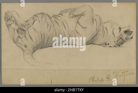 Sleeping Tiger, Philip H. Wolfrom, cuisine américaine, 1870-1904, Graphite sur papier,s.d., feuille : 5 1/2 x 8 15/16 po., 14 x 22,7 cm Banque D'Images