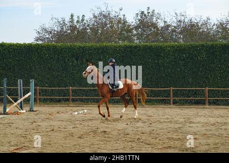 Jeune garçon à cheval au ranch, apprenant à cheval avec des barrières et des obstacles. Banque D'Images