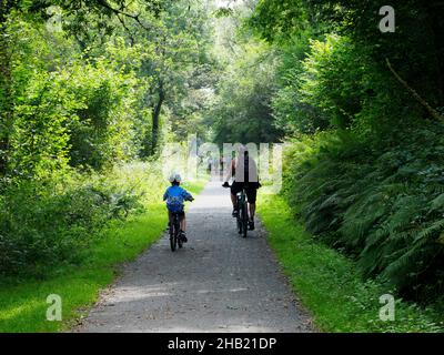 Père et son cyling le long de la Tarka Trail, Devon, Royaume-Uni Banque D'Images