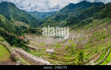 Terrasses de riz de Batad, province d'Ifugao, Philippines Banque D'Images