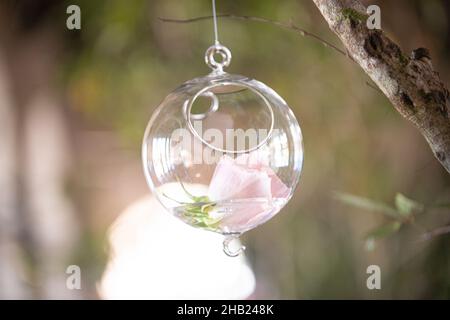 Boule de noël Chrystal décoration d'arbre boule avec fleur rose à l'intérieur suspendu de l'arbre Banque D'Images