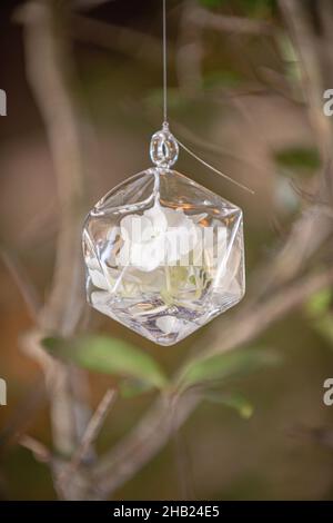 Boule de noël Chrystal décoration d'arbre boule avec fleur rose à l'intérieur suspendu de l'arbre Banque D'Images