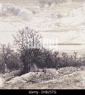 Paysage, Charles-Émile Jacque, français, 1813-1894, Etching au collet de Chine, 16 13/16 x 12 3/16 po, 42,7 x 31 cm Banque D'Images