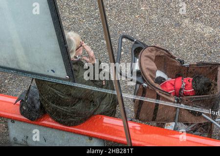 une femme plus âgée assise à un arrêt de bus fume une cigarette avec son petit chien dans une poussette à ses côtés, une femme attendant un bus avec un chien bichonné. Banque D'Images