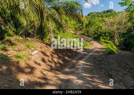 Route de campagne avec un petit pont sur l'île de Bohol, Philippines Banque D'Images