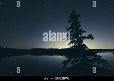 Étoiles de nuit ciel au-dessus du lac Astotin, parc national Elk Island, Alberta, Canada Banque D'Images