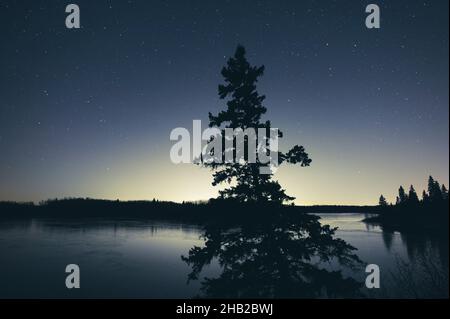 Étoiles de nuit ciel au-dessus du lac Astotin, parc national Elk Island, Alberta, Canada Banque D'Images