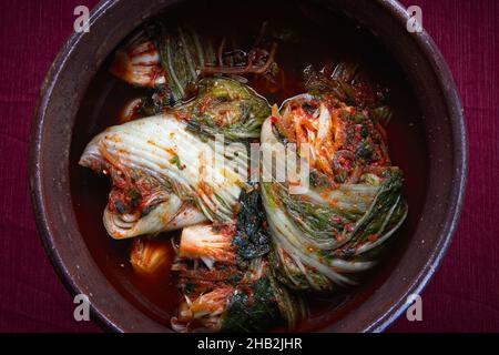 Un studio de vue d'ensemble des kimchi fraîchement faits à l'intérieur d'une grande casserole.Un plat de base en Corée. Banque D'Images