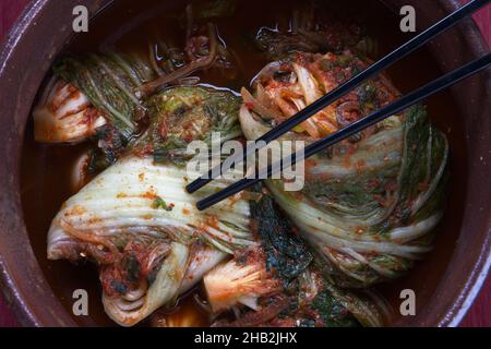 Un studio de vue d'ensemble des kimchi fraîchement faits à l'intérieur d'une grande casserole.Un plat de base en Corée. Banque D'Images