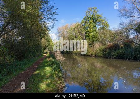 Royaume-Uni, Angleterre, Berkshire, Lower Padworth, le canal Kennet & Avon Banque D'Images