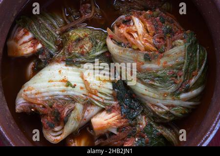 Un studio de vue d'ensemble des kimchi fraîchement faits à l'intérieur d'une grande casserole.Un plat de base en Corée. Banque D'Images