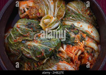 Un studio de vue d'ensemble des kimchi fraîchement faits empilés dans un grand pot.Un plat de base en Corée. Banque D'Images