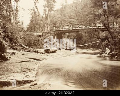 Gorge de Mongarewa, studio Burton Brothers, studio de photographie, 1870s, Dunedin,photographie Banque D'Images