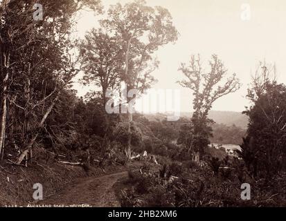 Auckland Road - Waiwera, Burton Brothers studio, studio de photographie, vers 1880, Dunedin,photographie Banque D'Images