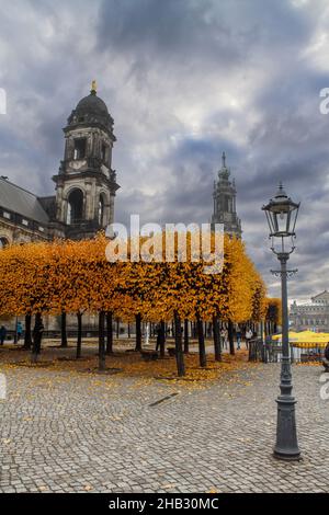 La terrasse Bruehl en automne avec des arbres jaunes vibrants, Allemagne Banque D'Images