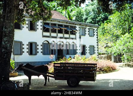 Chariot de boeuf et maison coloniale sur l'île de la Digue, Seychelles en 1980 Banque D'Images
