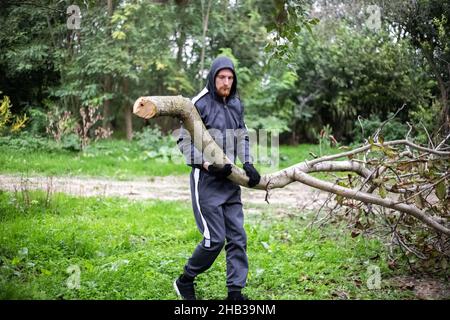 l'homme porte une branche d'un arbre sec coupé.Élagage des arbres dans le jardin. Banque D'Images